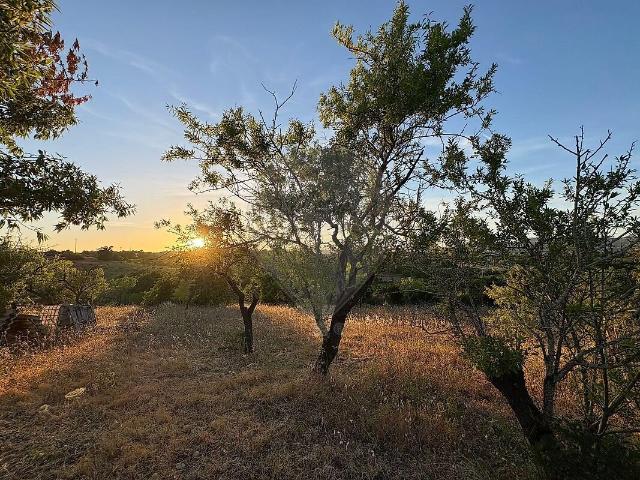 Terreno à venda em Pechão, Olhão RE/MAX Portugal