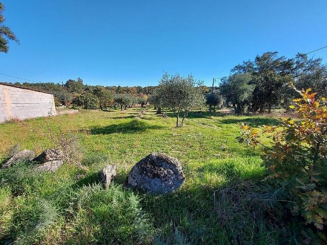Terreno à venda em Pedrógão de São Pedro e Bemposta, Penamacor RE/MAX Portugal
