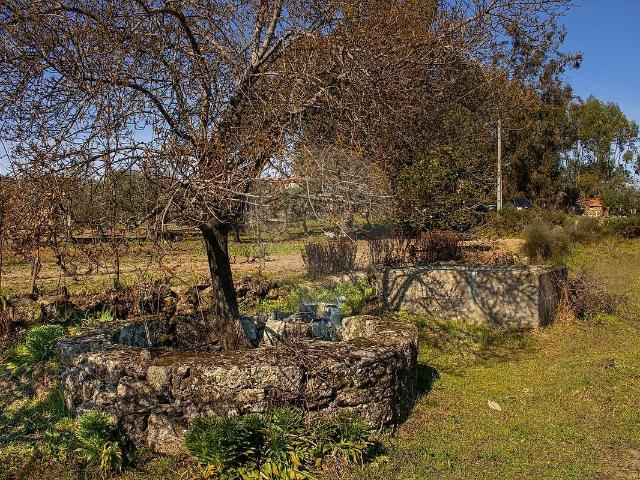 Terreno à venda em Pedrógão de São Pedro e Bemposta, Penamacor RE/MAX Portugal