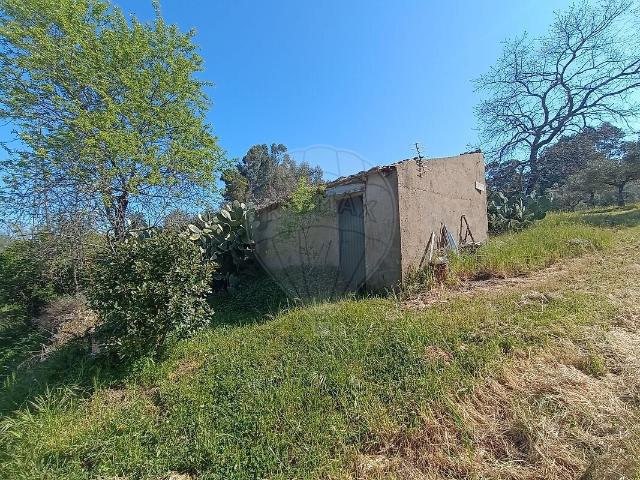 Terreno à venda em Pedrógão de São Pedro e Bemposta, Penamacor RE/MAX Portugal