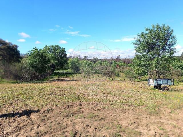 Terreno à venda em Pedrógão de São Pedro e Bemposta, Penamacor RE/MAX Portugal