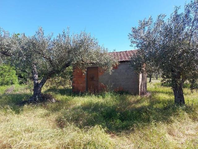 Terreno à venda em Pedrógão de São Pedro e Bemposta, Penamacor RE/MAX Portugal