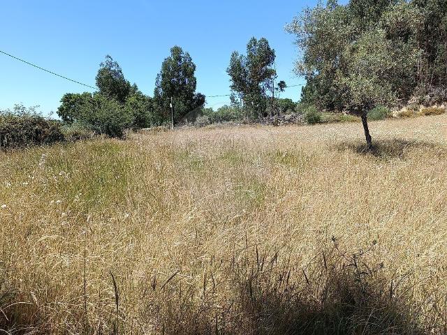 Terreno à venda em Pedrógão de São Pedro e Bemposta, Penamacor RE/MAX Portugal