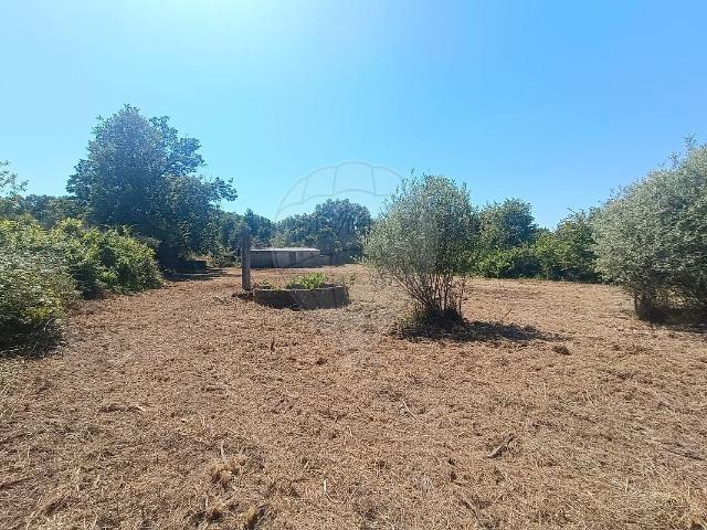 Terreno à venda em Pedrógão de São Pedro e Bemposta, Penamacor RE/MAX Portugal