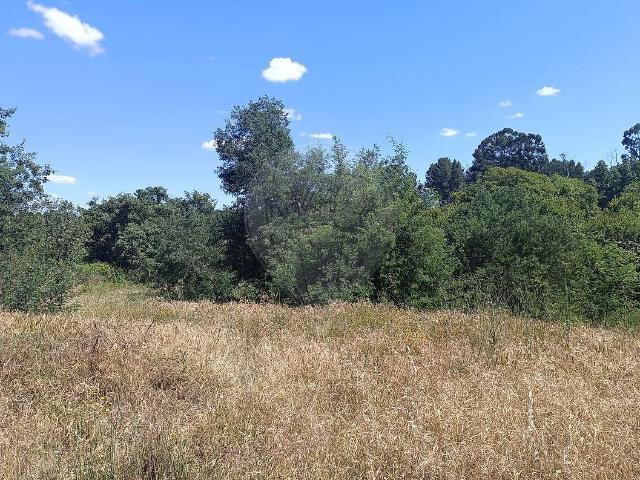 Terreno à venda em Pedrógão de São Pedro e Bemposta, Penamacor RE/MAX Portugal