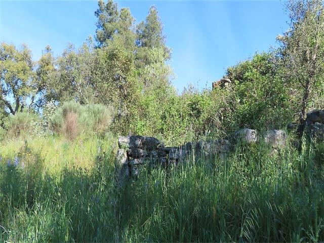 Terreno à venda em Pedrógão de São Pedro e Bemposta, Penamacor RE/MAX Portugal