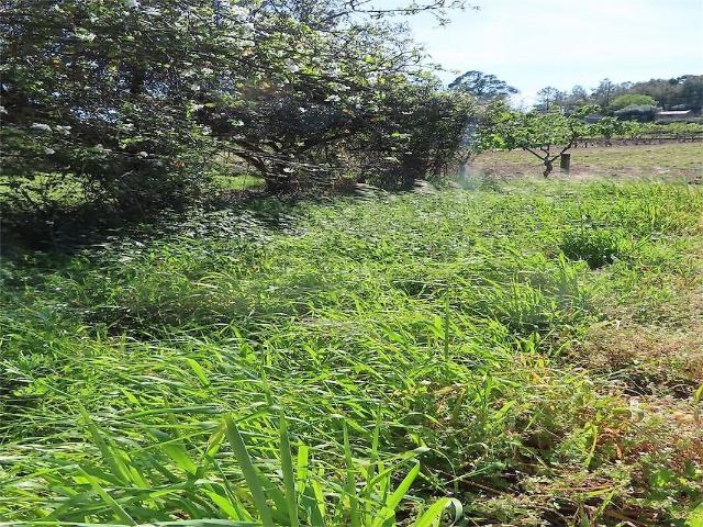 Terreno à venda em Pedrógão de São Pedro e Bemposta, Penamacor RE/MAX Portugal