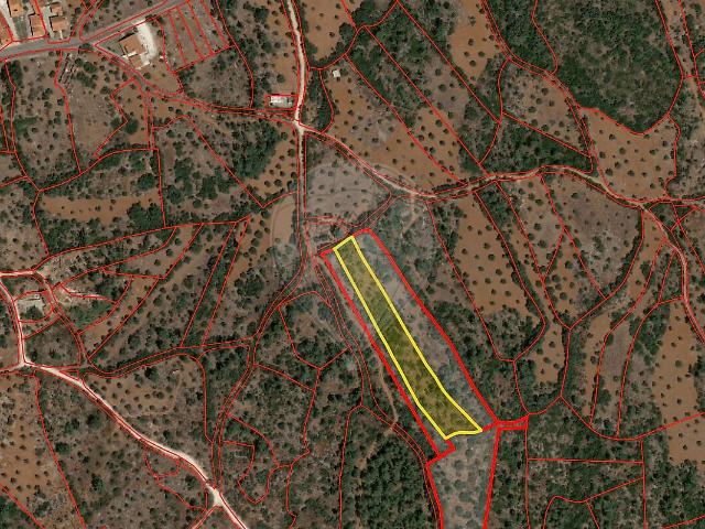 Terreno à venda em Pedrógão, Torres Novas RE/MAX Portugal