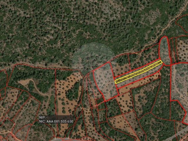 Terreno à venda em Pedrógão, Torres Novas RE/MAX Portugal