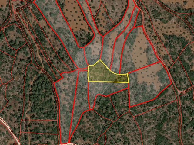 Terreno à venda em Pedrógão, Torres Novas RE/MAX Portugal