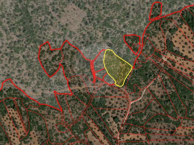 Terreno à venda em Pedrógão, Torres Novas RE/MAX Portugal
