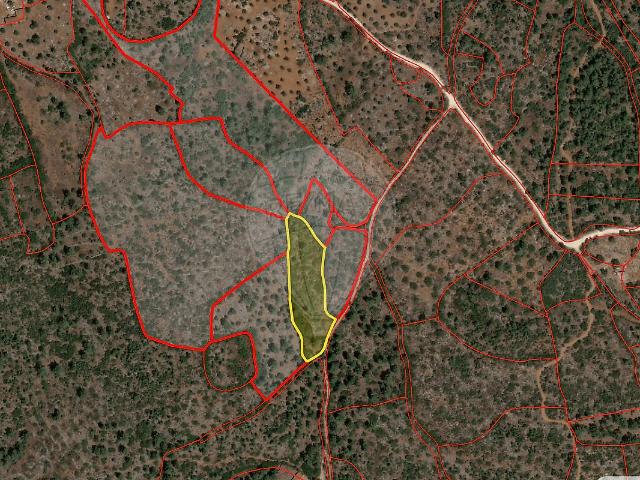 Terreno à venda em Pedrógão, Torres Novas RE/MAX Portugal