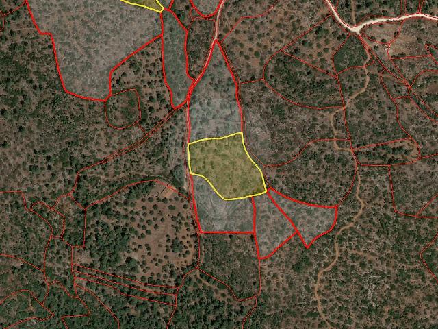Terreno à venda em Pedrógão, Torres Novas RE/MAX Portugal