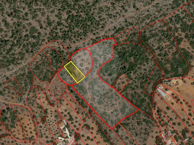 Terreno à venda em Pedrógão, Torres Novas RE/MAX Portugal