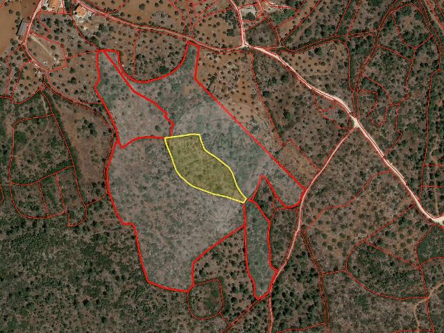 Terreno à venda em Pedrógão, Torres Novas RE/MAX Portugal