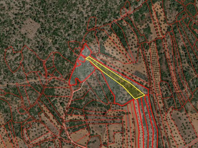Terreno à venda em Pedrógão, Torres Novas RE/MAX Portugal