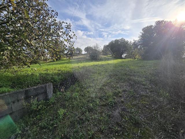 Terreno à venda em Pedrógão, Torres Novas RE/MAX Portugal