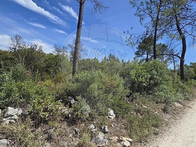Terreno à venda em Pedrógão, Torres Novas RE/MAX Portugal