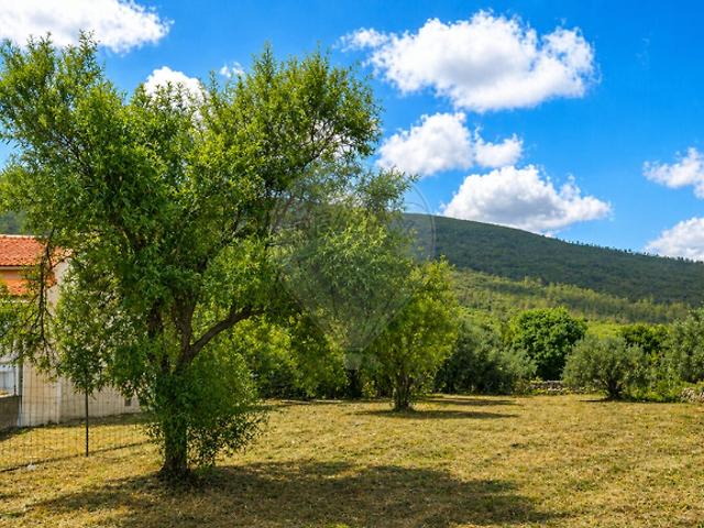 Terreno à venda em Pedrógão, Torres Novas RE/MAX Portugal