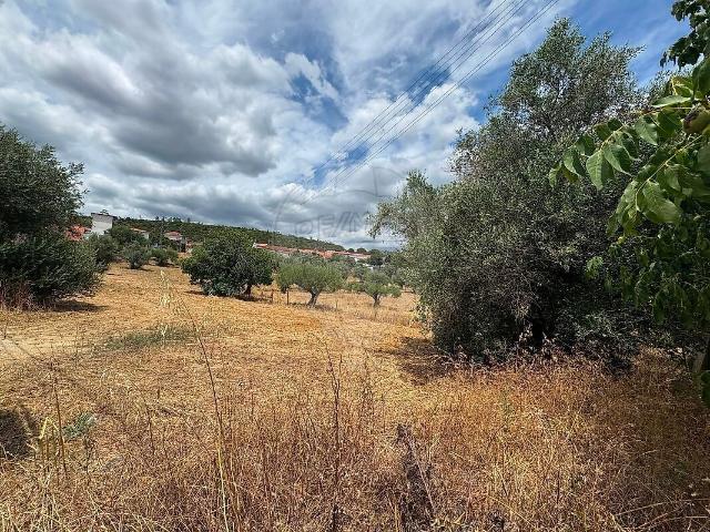 Terreno à venda em Pedrógão, Torres Novas RE/MAX Portugal