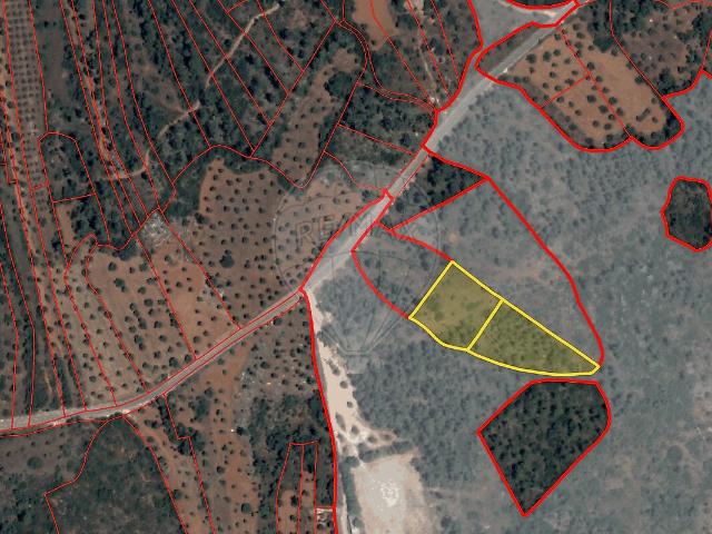 Terreno à venda em Pedrógão, Torres Novas RE/MAX Portugal