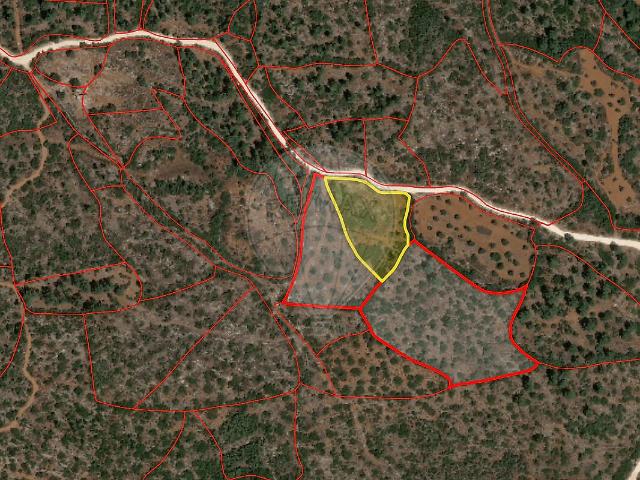 Terreno à venda em Pedrógão, Torres Novas RE/MAX Portugal