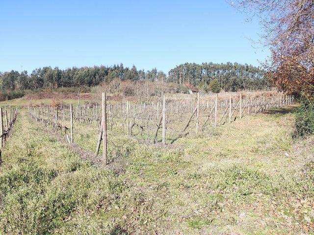 Terreno à venda em Pedreira, Rande e Sernande, Felgueiras RE/MAX Portugal