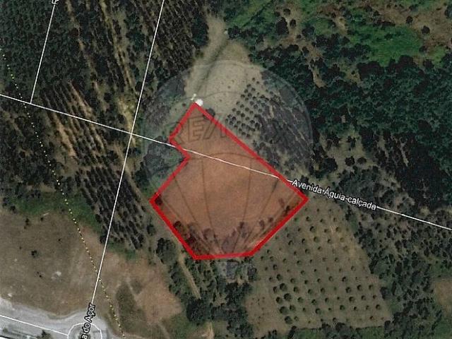 Terreno à venda em Pedreiras, Porto de Mós RE/MAX Portugal