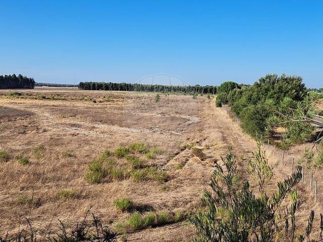 Terreno à venda em Pegões, Montijo RE/MAX Portugal