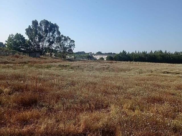 Terreno à venda em Pegões, Montijo RE/MAX Portugal