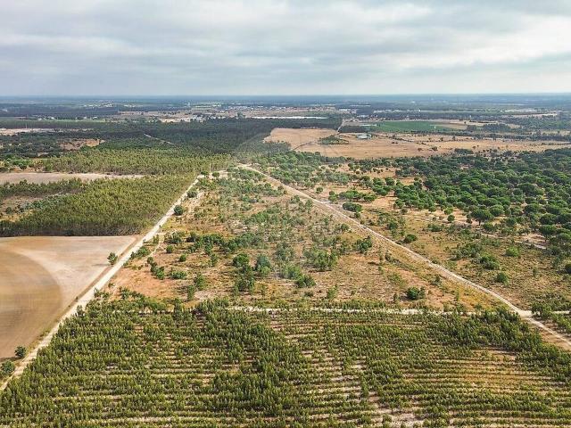 Terreno à venda em Pegões, Montijo RE/MAX Portugal