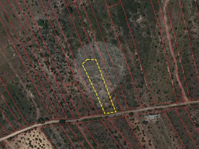Terreno à venda em Pego, Abrantes RE/MAX Portugal