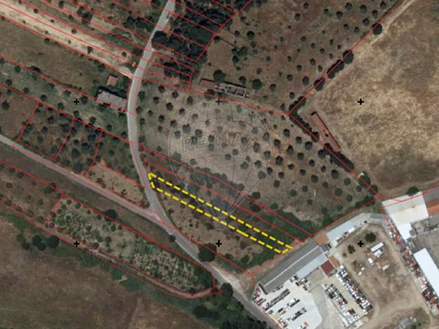 Terreno à venda em Pego, Abrantes RE/MAX Portugal
