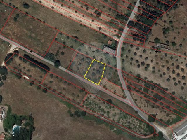 Terreno à venda em Pego, Abrantes RE/MAX Portugal