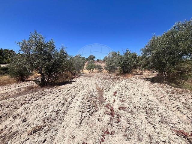 Terreno à venda em Penamacor, Penamacor RE/MAX Portugal