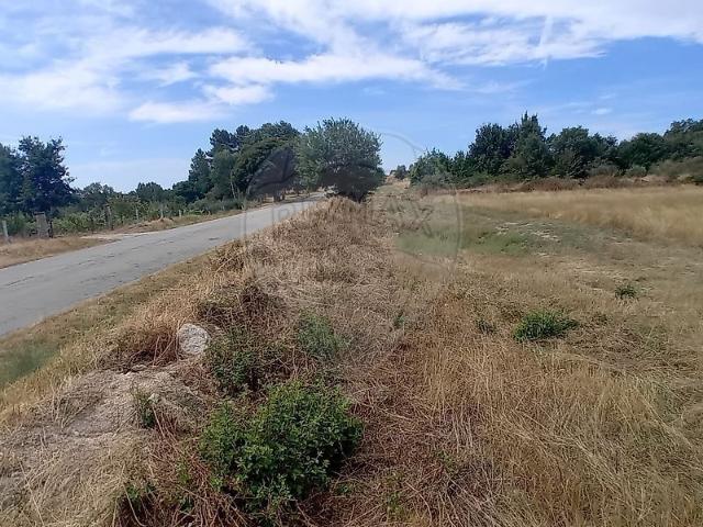 Terreno à venda em Penamacor, Penamacor RE/MAX Portugal