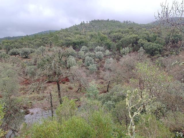 Terreno à venda em Penamacor
