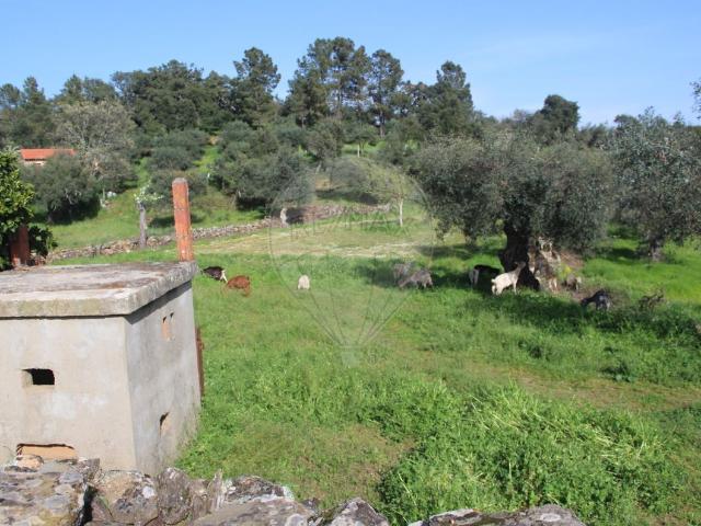 Terreno à venda em Penamacor