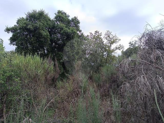 Terreno à venda em Penamacor