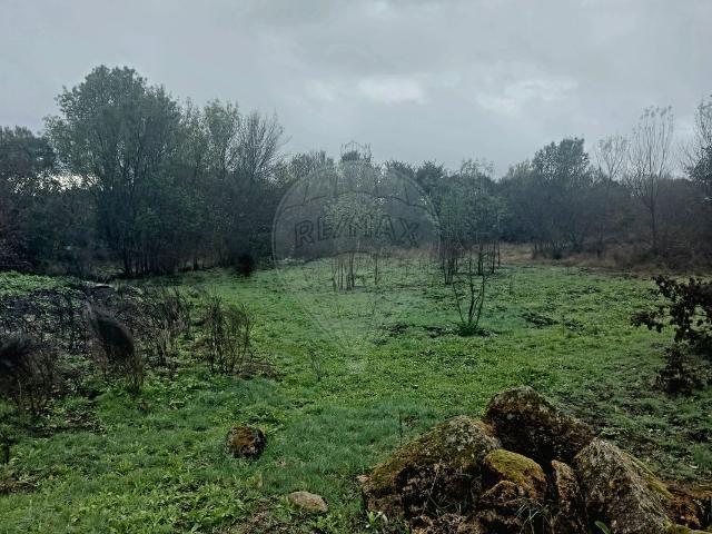 Terreno à venda em Penamacor