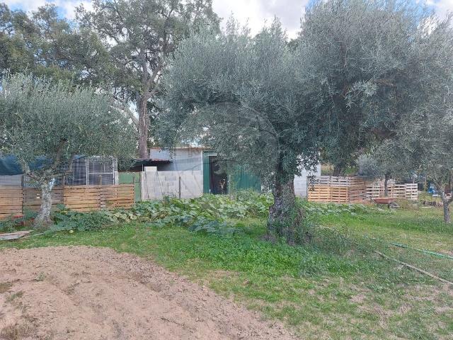 Terreno à venda em Penamacor