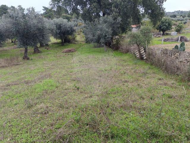 Terreno à venda em Penamacor