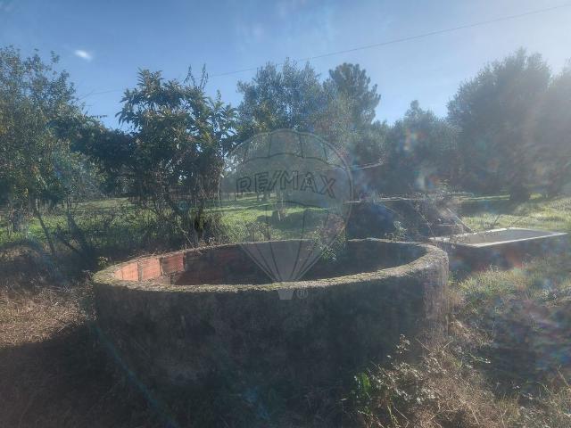 Terreno à venda em Penamacor