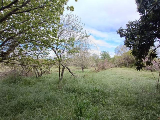 Terreno à venda em Penamacor