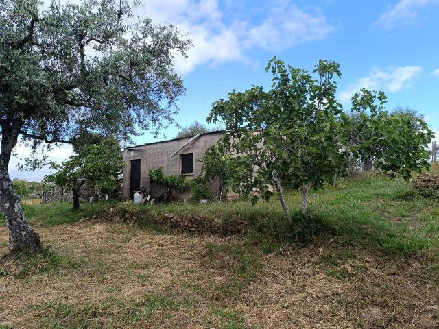Terreno à venda em Penamacor