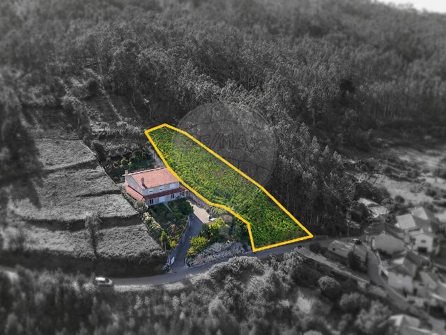 Terreno à venda em Penacova, Penacova RE/MAX Portugal