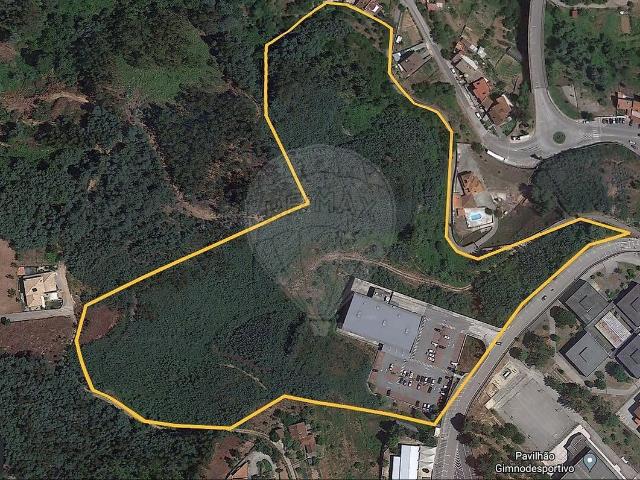 Terreno à venda em Penacova, Penacova RE/MAX Portugal