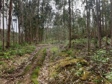 Terreno à venda em Penafiel
