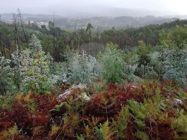 Terreno à venda em Penafiel