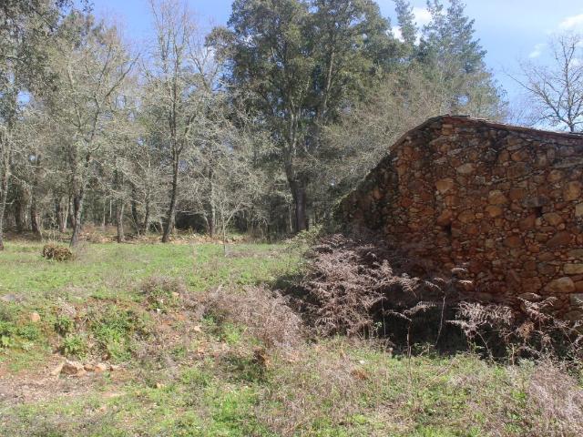 Terreno à venda em Penela